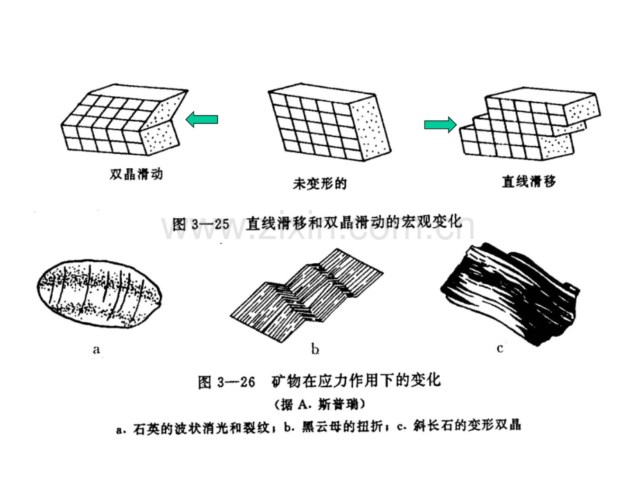 矿物岩石学.pptx_第2页