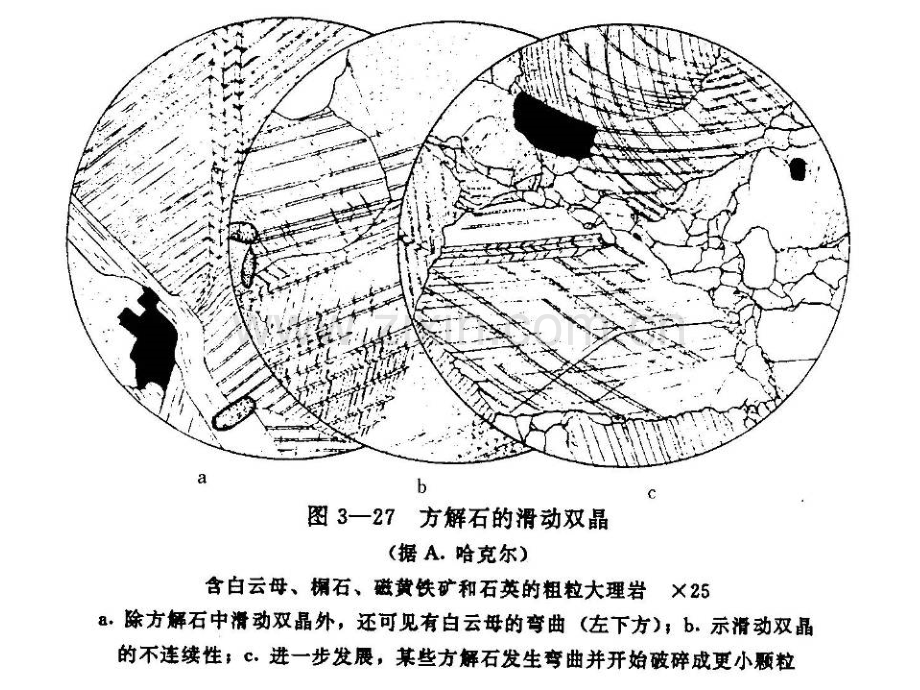 矿物岩石学.pptx_第3页