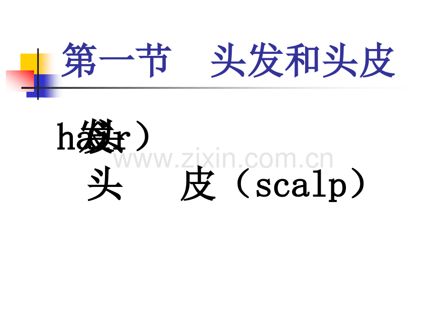 诊断学头颈检查.pptx_第2页