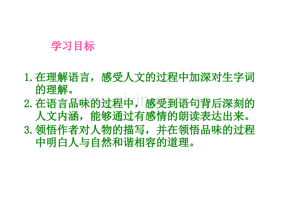 老人与海鸥课件语文S版语文五年级下册.pptx_第3页