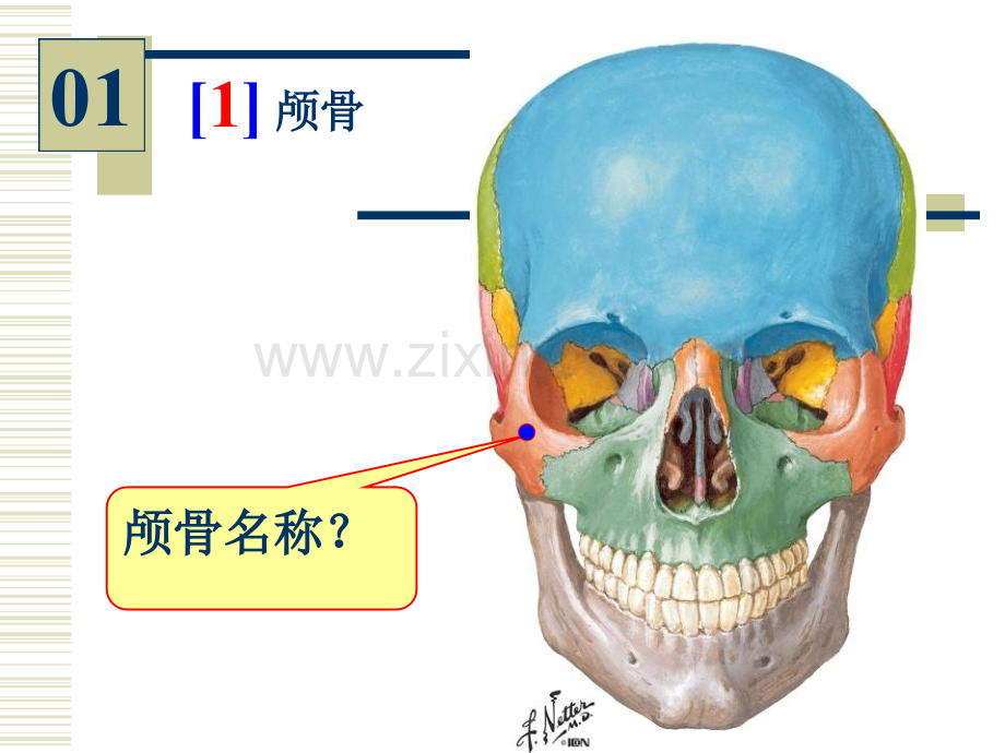 系解实验考试.pptx_第2页