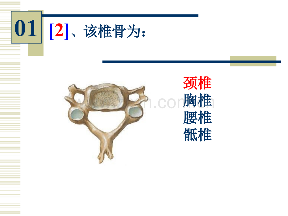 系解实验考试.pptx_第3页