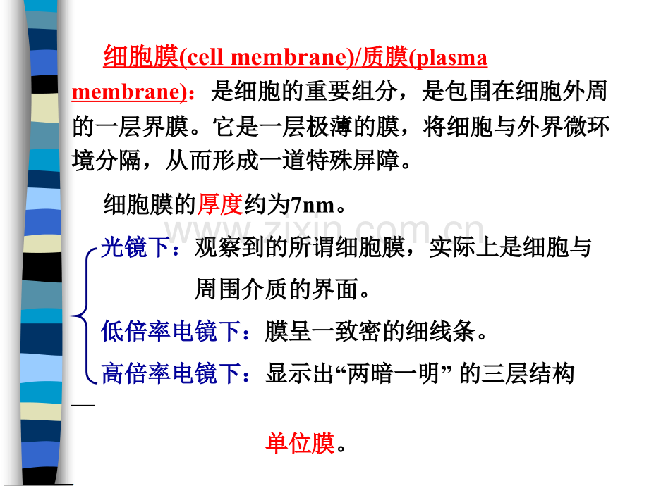 细胞生物学细胞膜与细胞表面.pptx_第2页