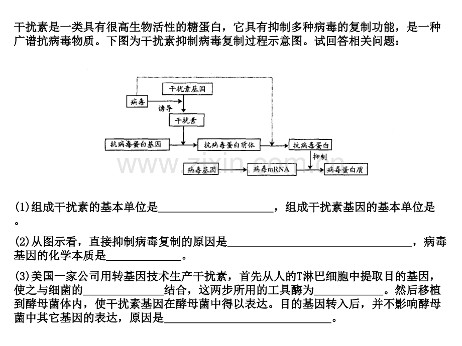 用基因工程技术实现动物乳腺生物反应器的操作过程是怎.pptx_第2页