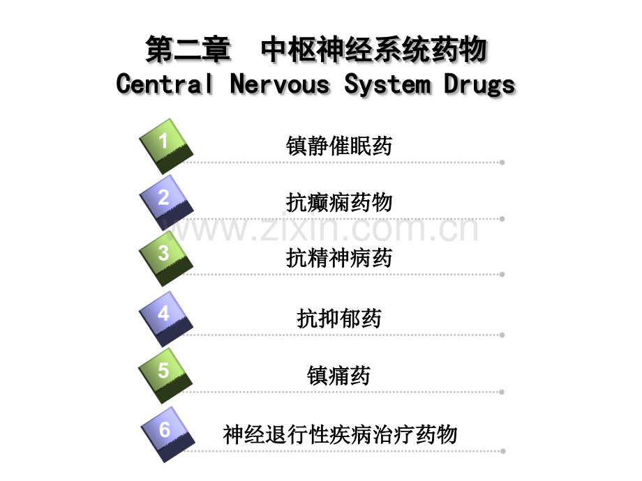 第二章-中枢神经系统药物.pptx_第2页