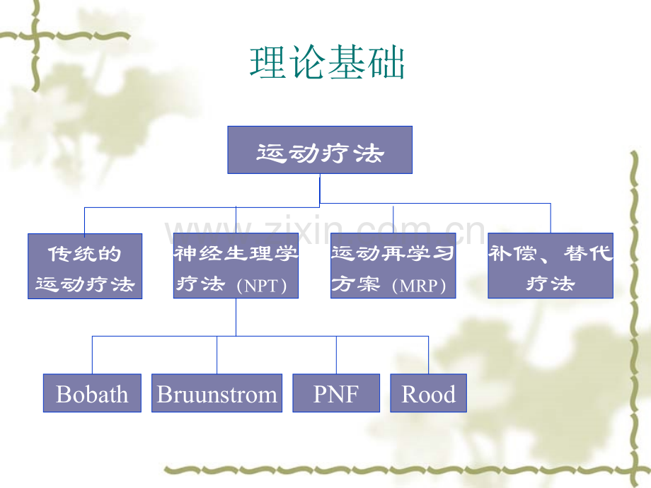 运动再学习.pptx_第3页