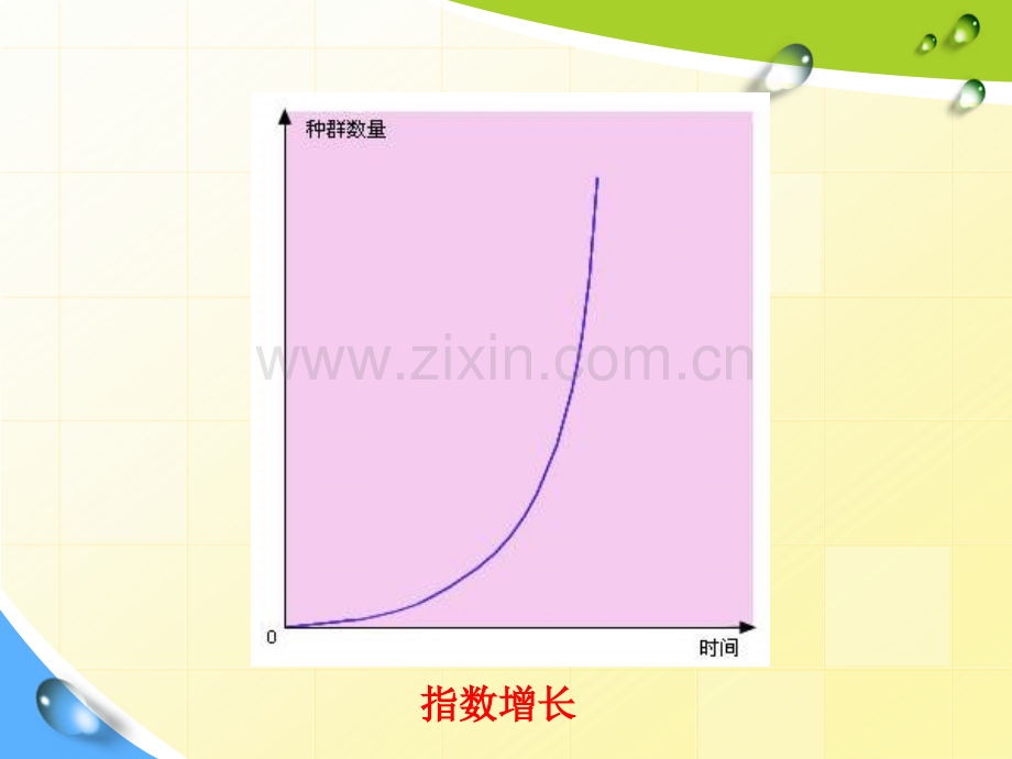 生态的基本原理——平衡与协调原理.pptx_第3页