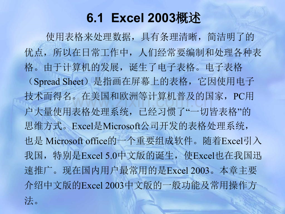 第6章电子表格处理软件.pptx_第1页