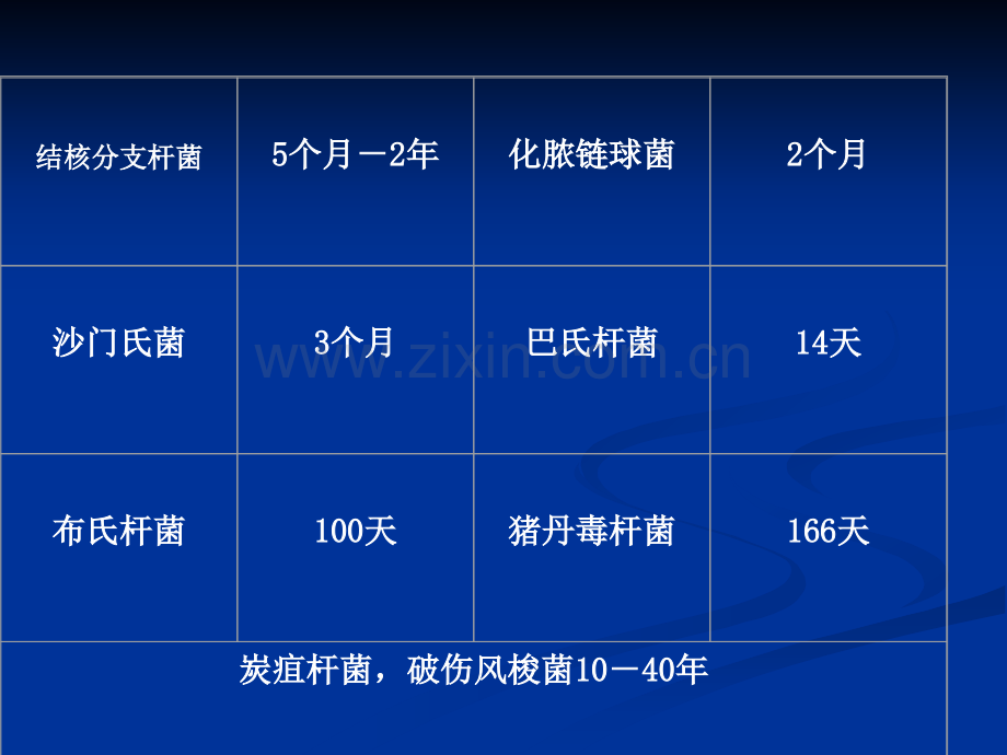 第四章细菌及微生物生态.pptx_第3页