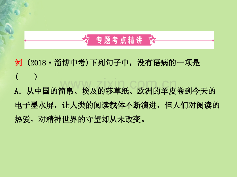 淄博专版中考语文专题四病句辨析.pptx_第2页