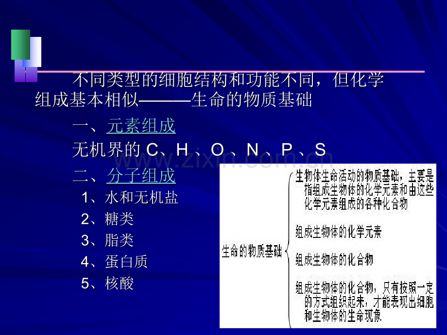 生命的化学基础new.pptx_第1页