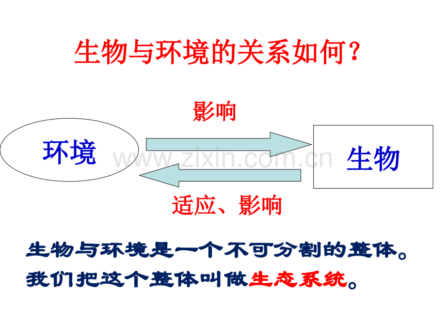 生态系统z.pptx_第2页