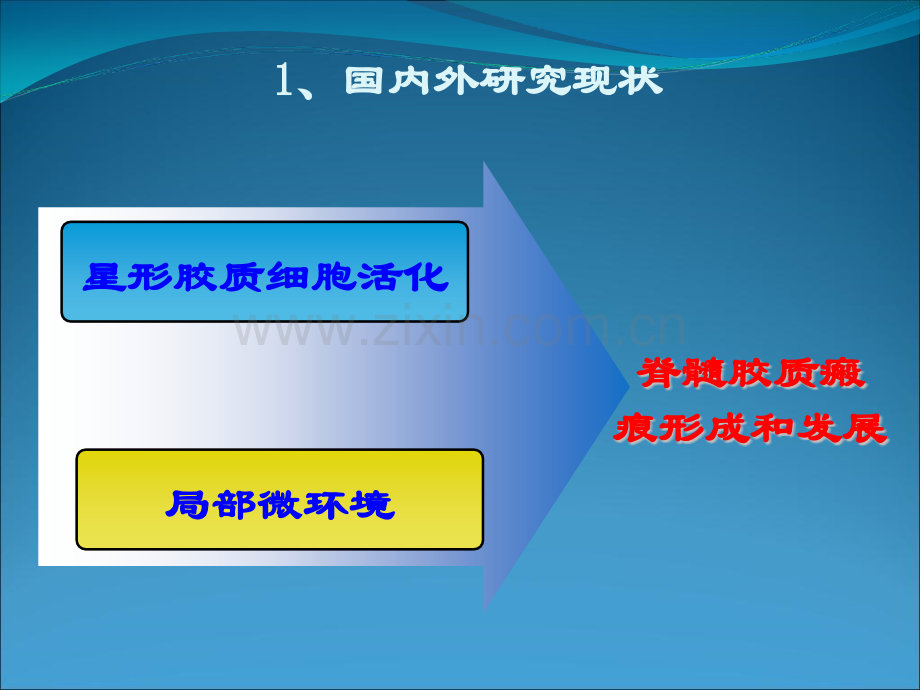 盛伟滨壁报交流.pptx_第2页