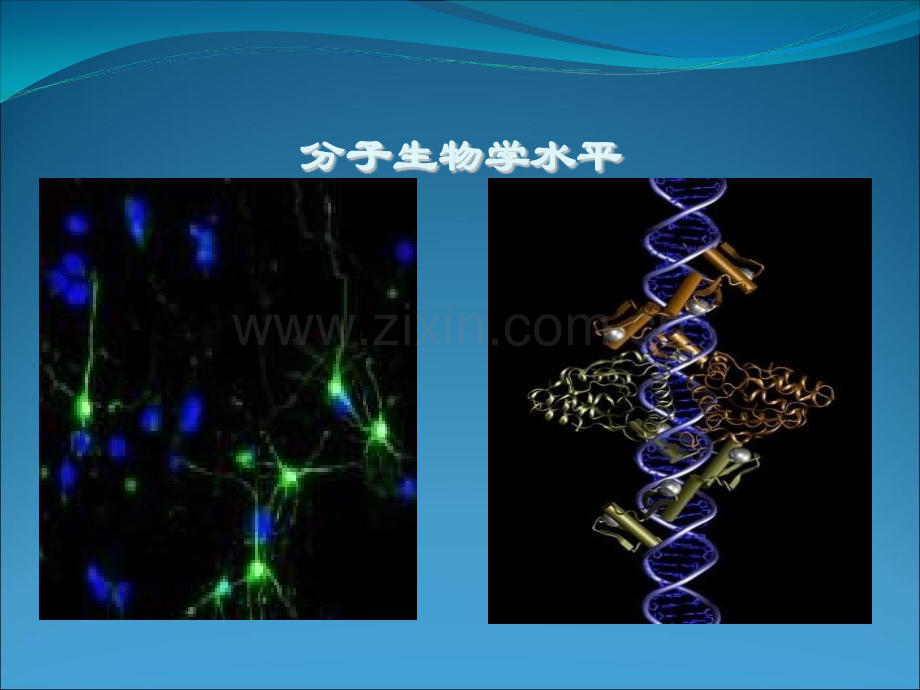 盛伟滨壁报交流.pptx_第3页