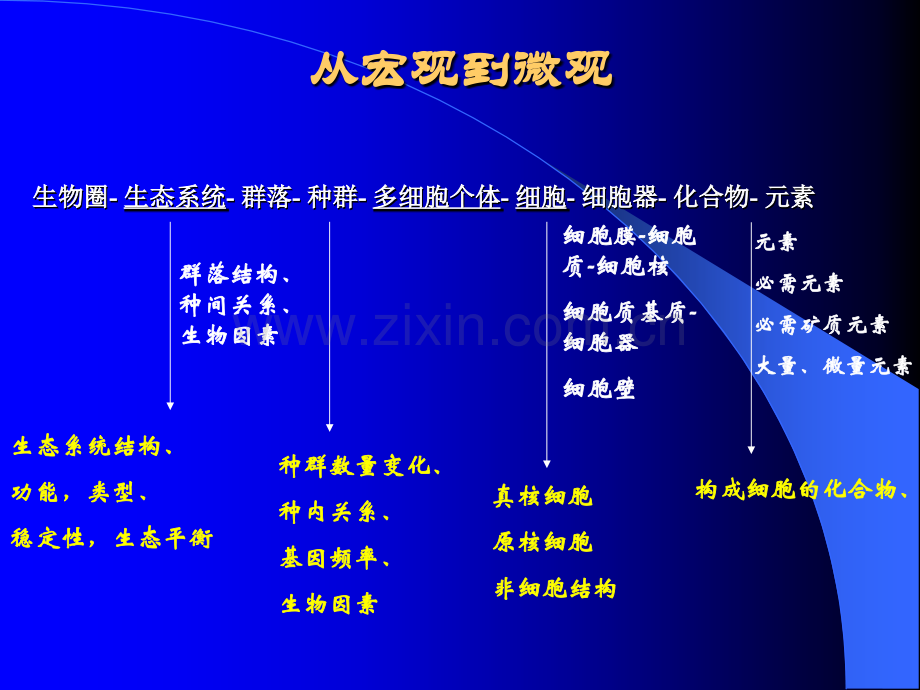 细胞的分子组成.pptx_第1页