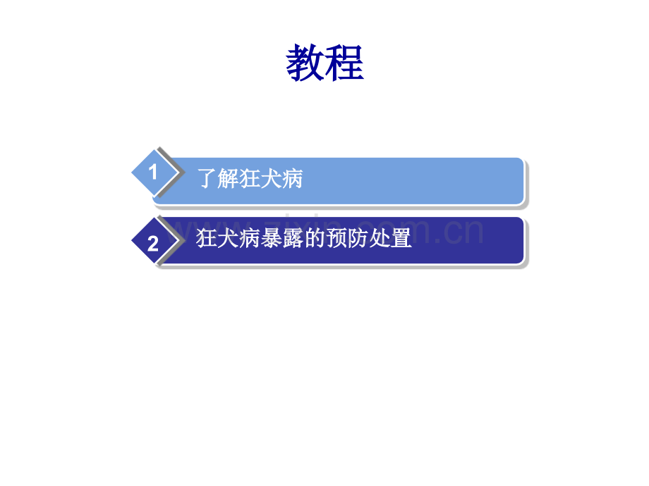 狂犬病预防处置.pptx_第3页