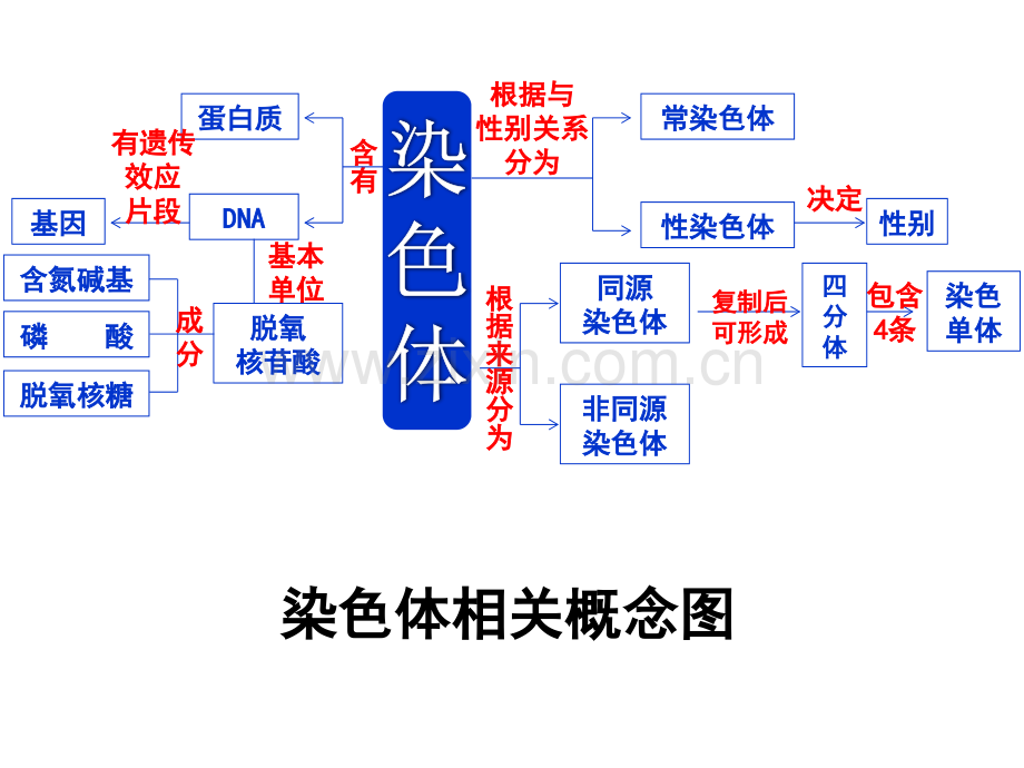 第5章第2讲染色体变异.pptx_第1页