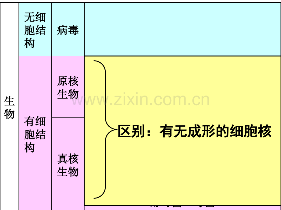 理化生高二生物会考总复习.pptx_第3页