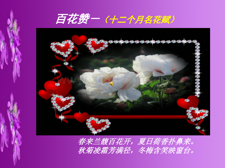 花卉书籍.pptx_第1页