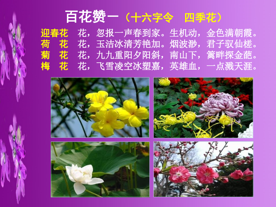 花卉书籍.pptx_第2页