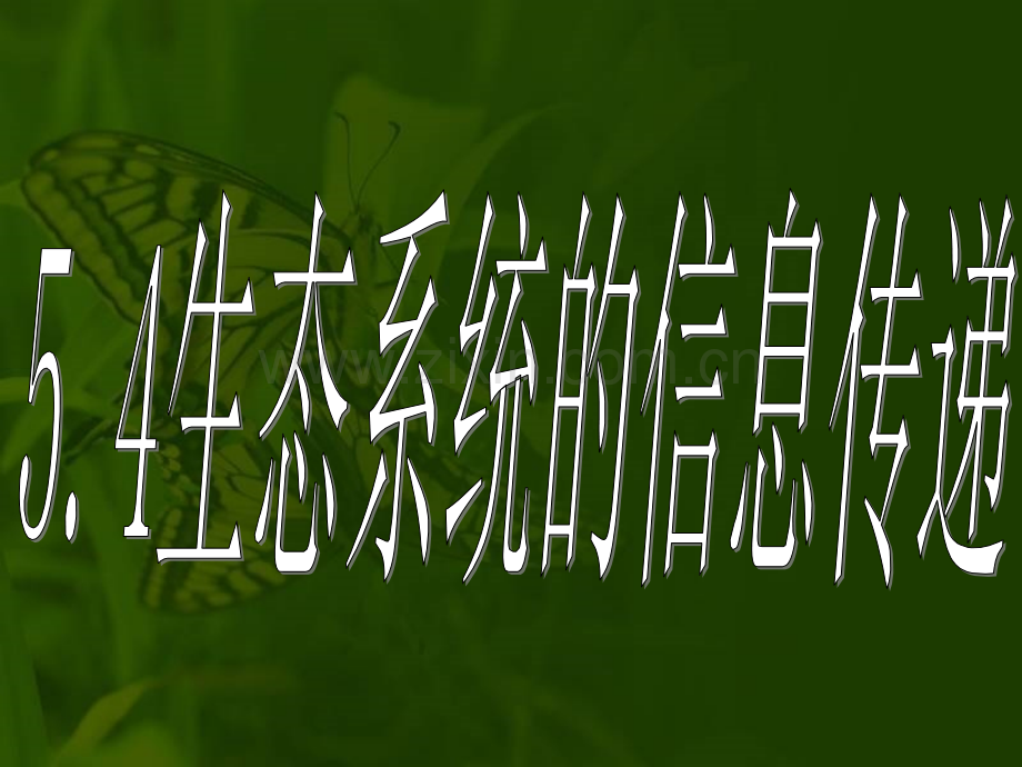 生态系统的信息传递1117晚.pptx_第3页