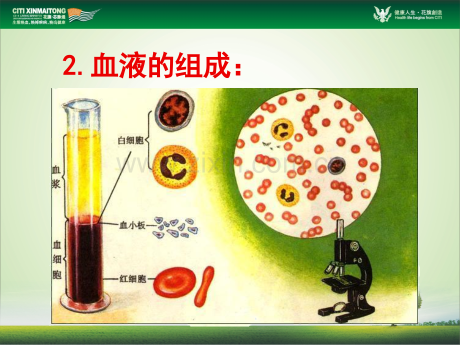 芯脉通幻灯片-20091013.pptx_第3页