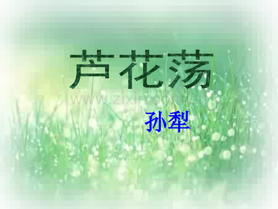 芦花荡公开课.pptx_第1页