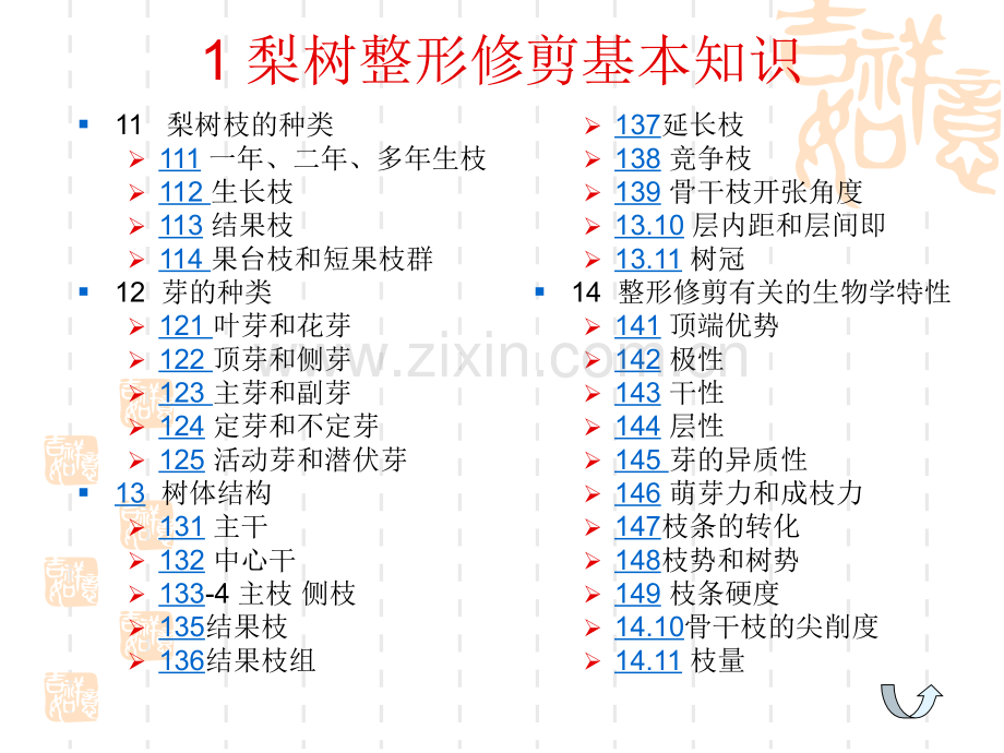 梨树整形修剪图解.pptx_第3页