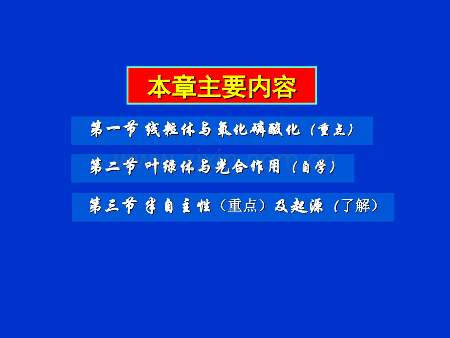 细胞生物学翟中和编线粒体和叶绿体.pptx_第2页