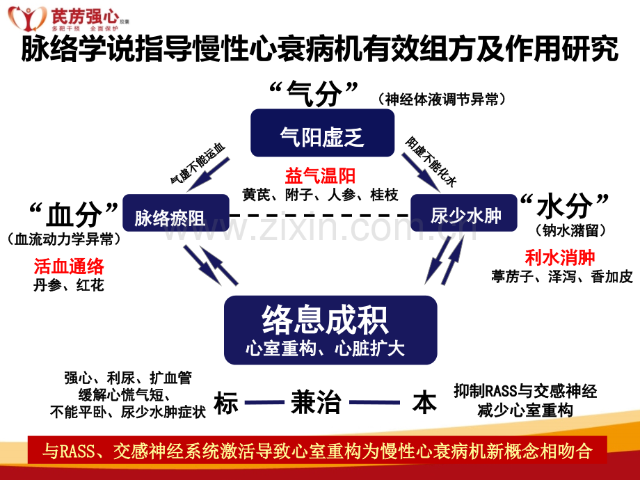 芪苈强心幻灯片城乡简约版简介.pptx_第3页