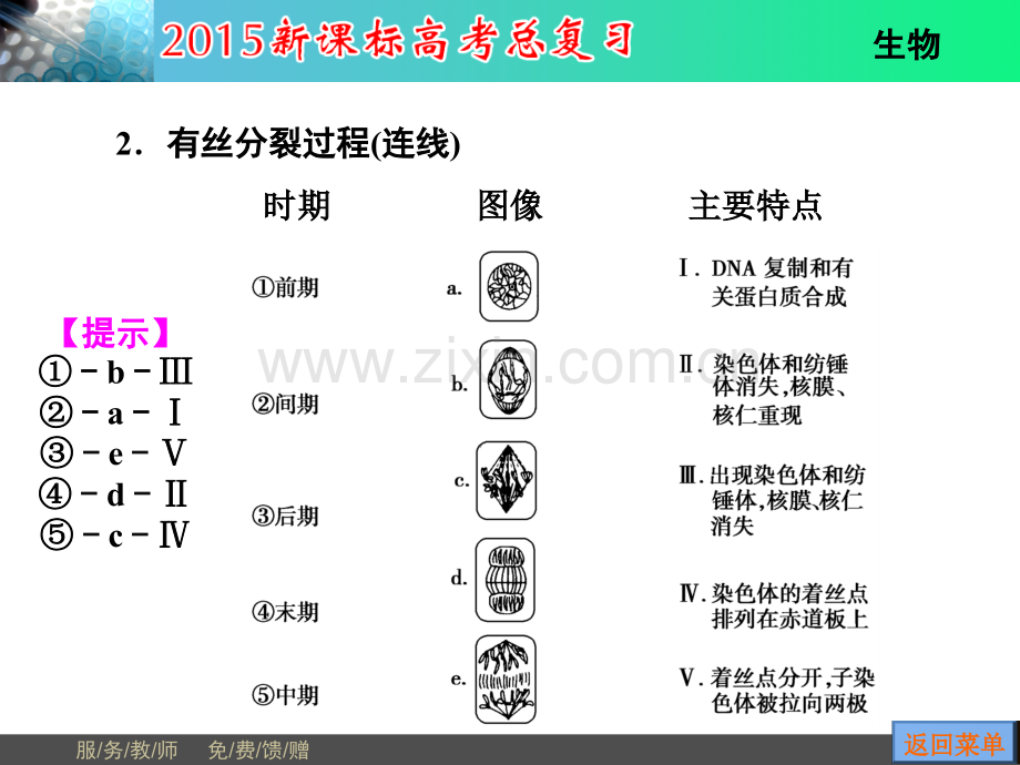 细胞的生命历程必修1第.pptx_第3页