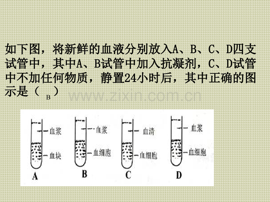 节输血与血型.pptx_第2页