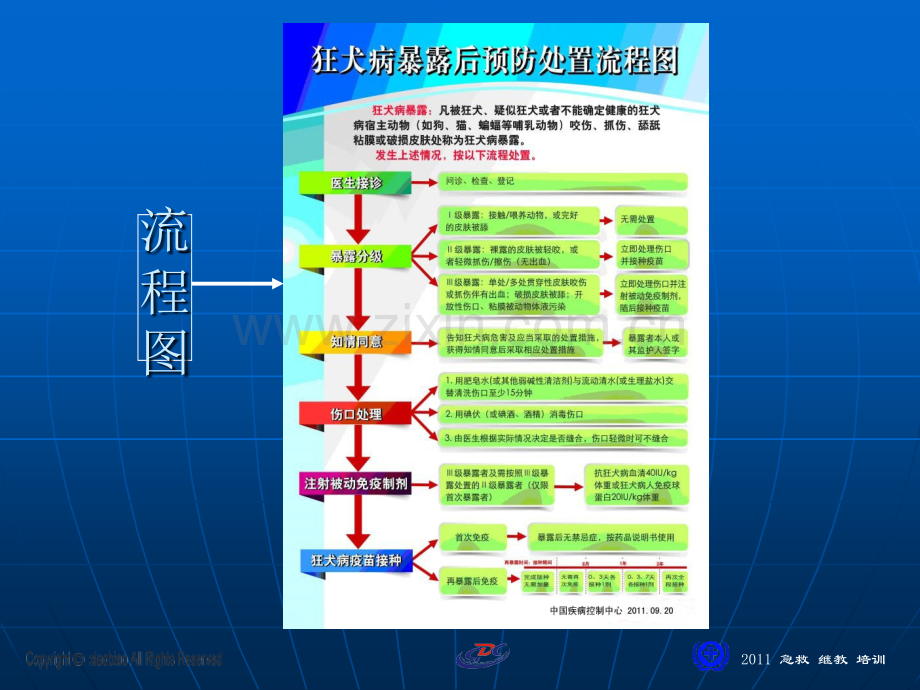 狂犬病暴露处理流程.pptx_第2页