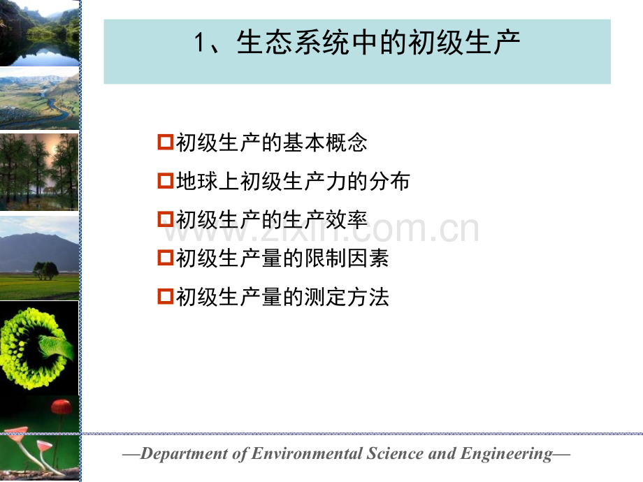 生态系统中的能量流动.pptx_第1页