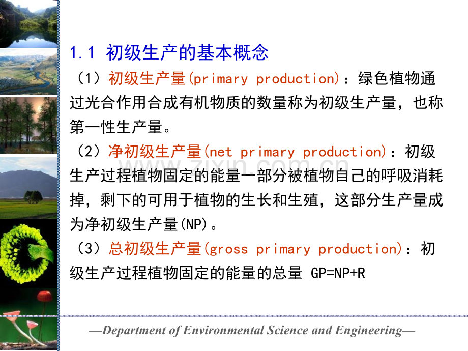 生态系统中的能量流动.pptx_第2页