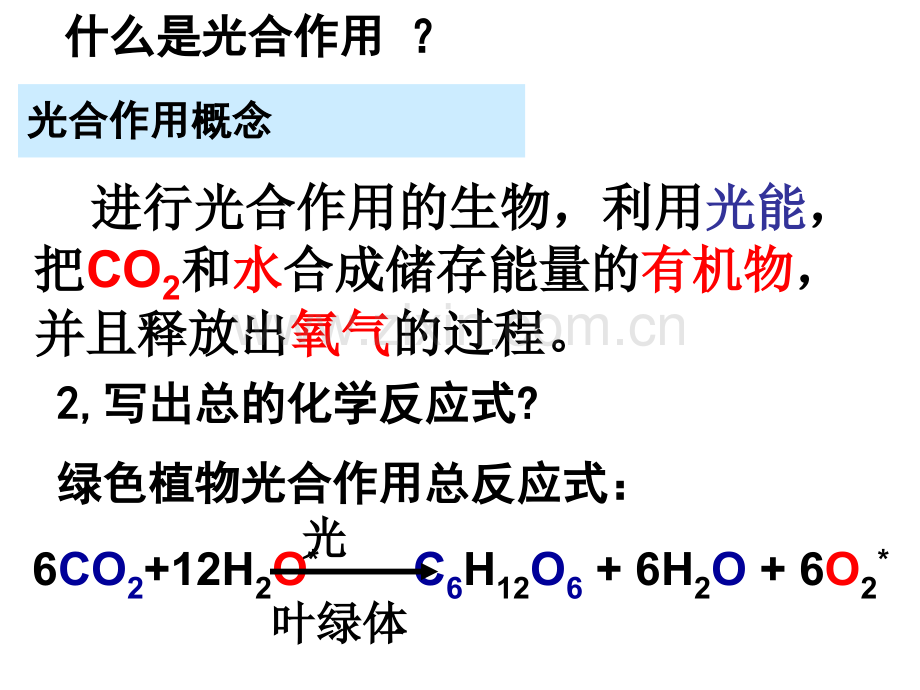 生态系统中的生产量和生物量.pptx_第1页