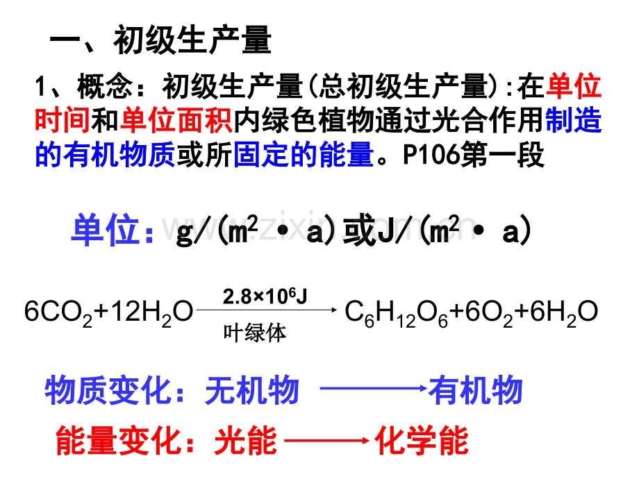 生态系统中的生产量和生物量.pptx_第3页