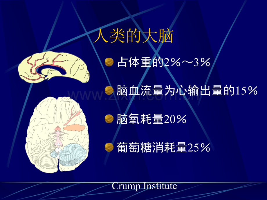 老年性痴呆AD概况.pptx_第3页