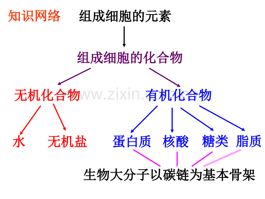 细胞的元素和无机盐.pptx_第1页