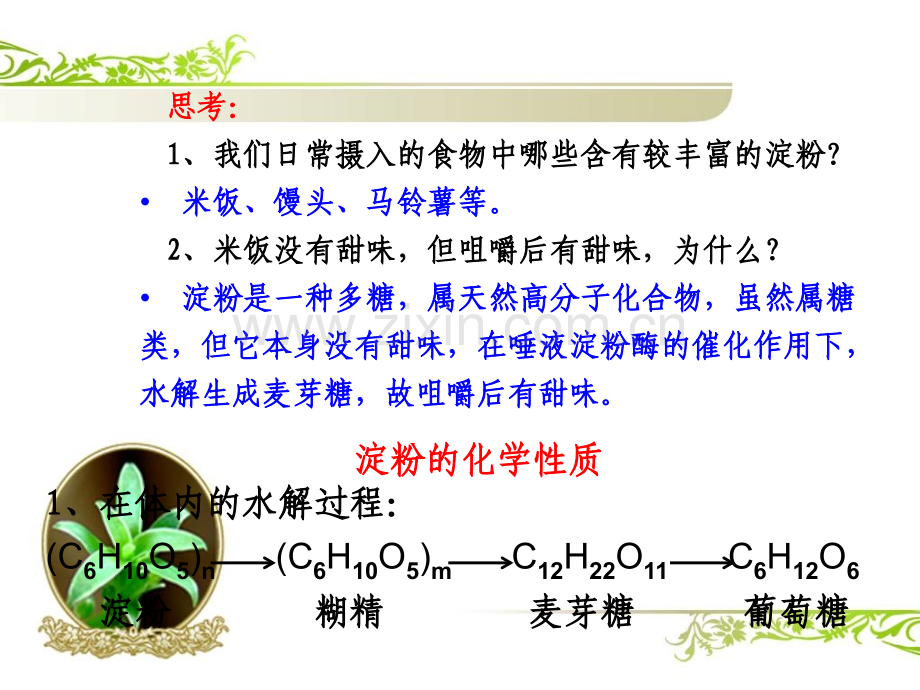 生命的基础能源糖类.pptx_第1页