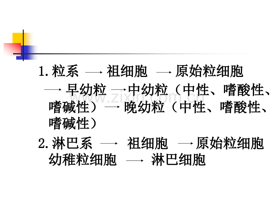 第四节-白血病.pptx_第3页