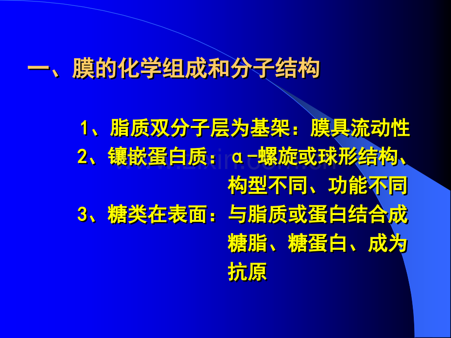 细胞膜的基本结构和跨膜物质转运功能.pptx_第2页