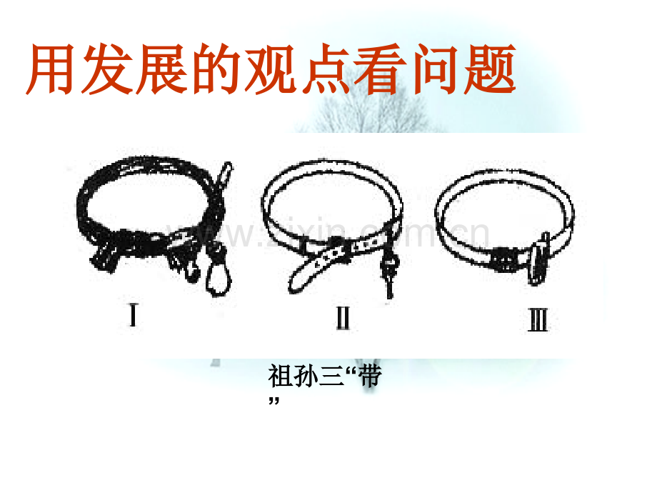 用发展的观点看问题PPT.pptx_第1页