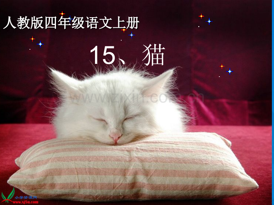 猫说课稿.pptx_第1页