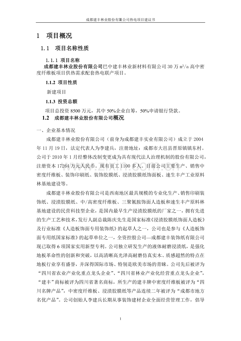 成都建丰林业股份有限公司热电项目建议书.doc_第2页