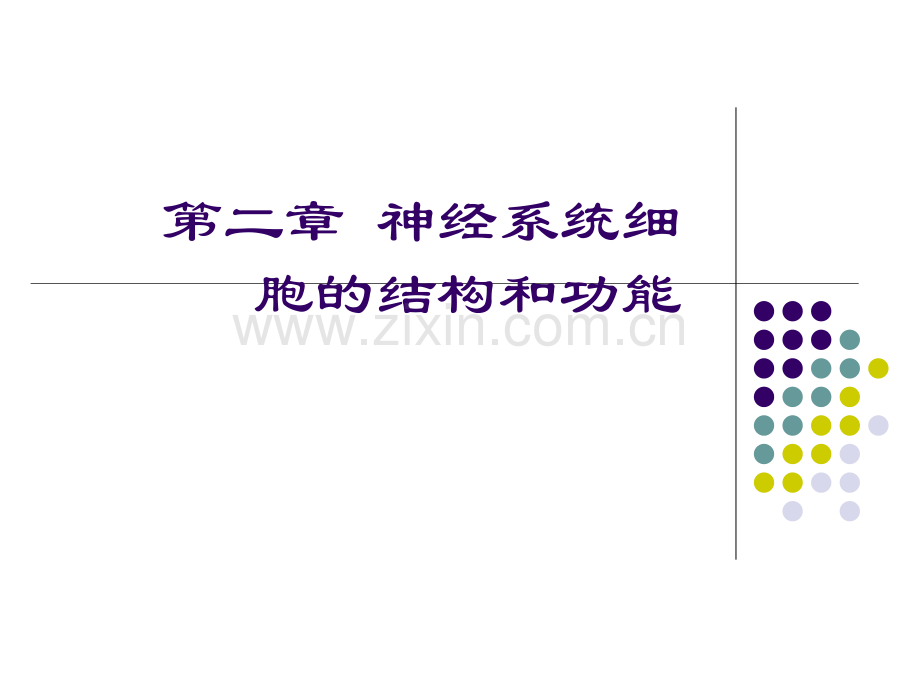 神经系统细胞的结构和功能.pptx_第1页