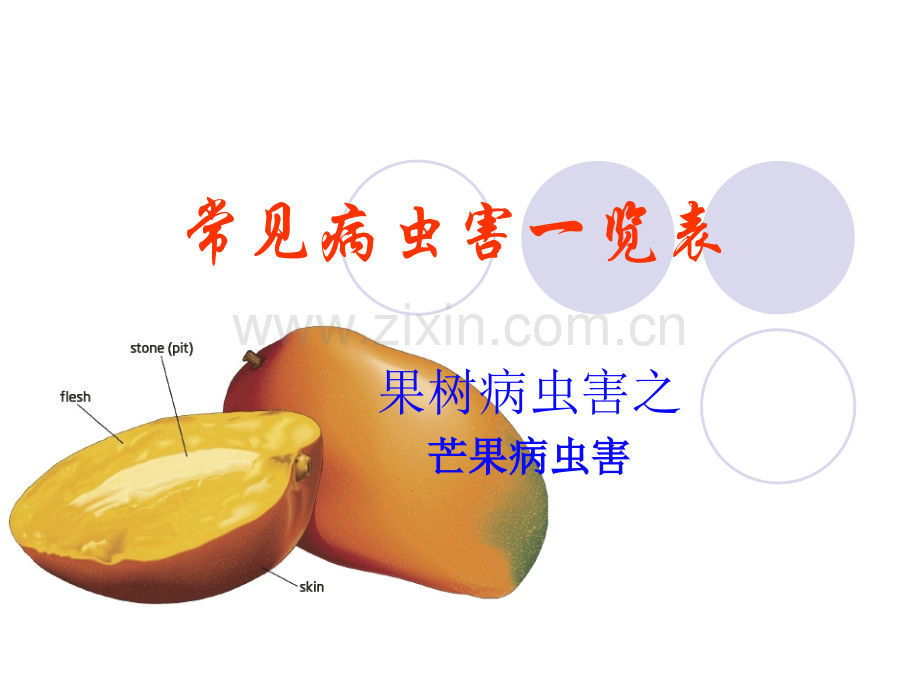 芒果常见病虫害一览表.pptx_第1页