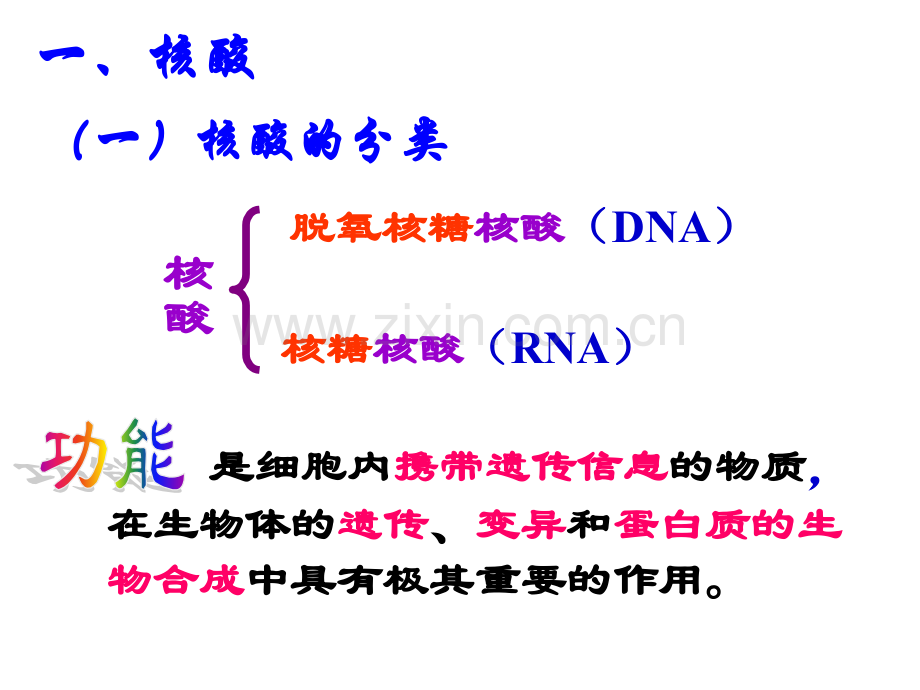 第四讲细胞中的核酸、糖类和脂质.pptx_第2页