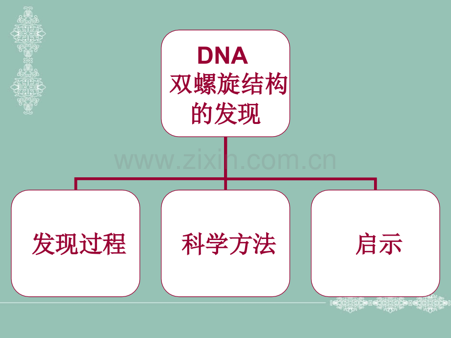 生命的螺旋从DNA双螺旋中阐述自然科学方法.pptx_第2页