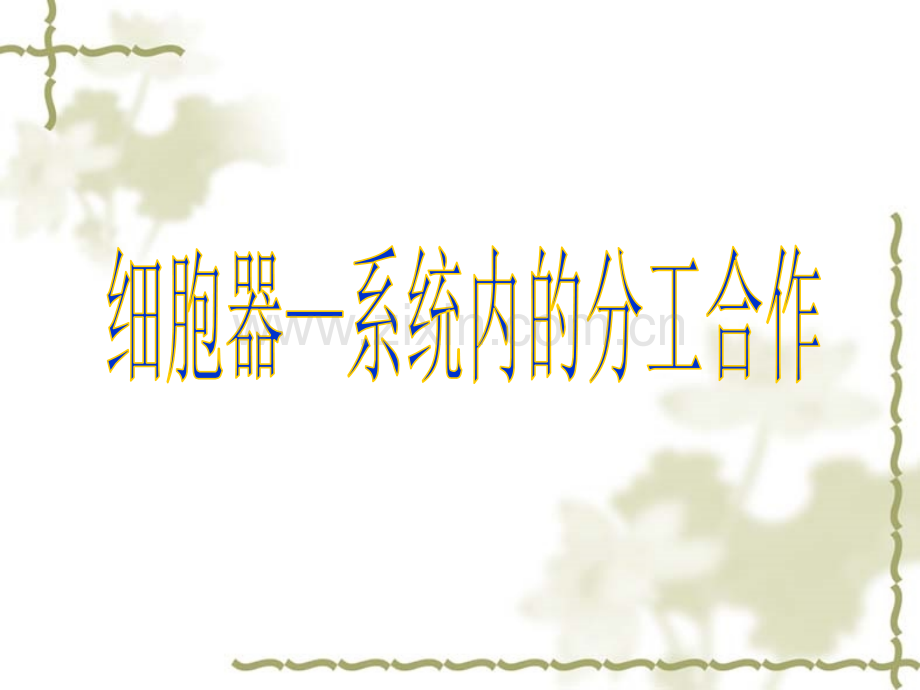 细胞质细胞膜以内细胞核以外的原生质活细胞的细胞质处于流动.pptx_第1页